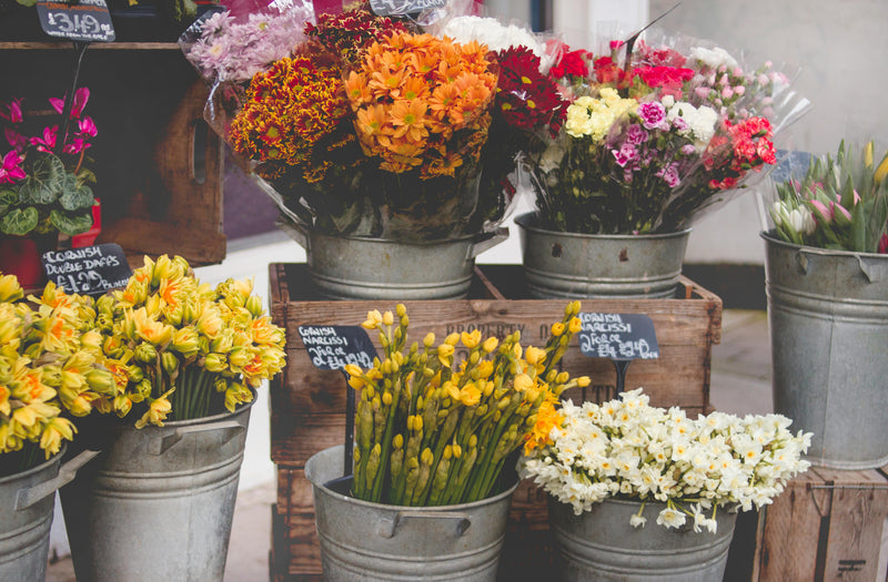 Blossoming Moments: Effortless Online Flower Delivery in Auckland
