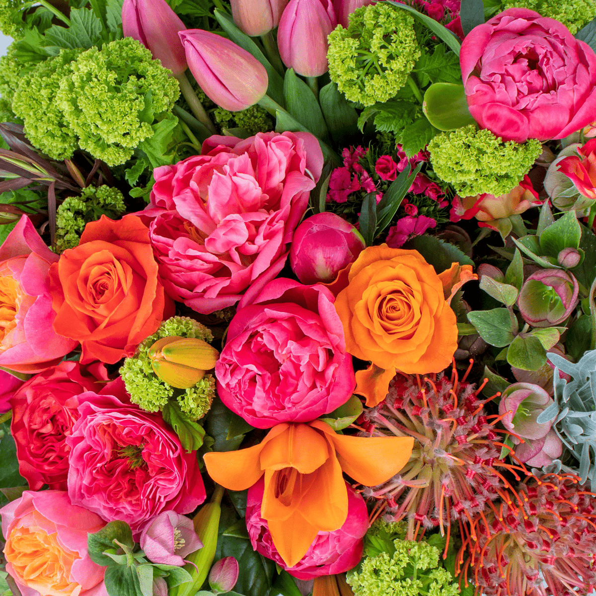 Florists Choice - Vibrant Colour Palette