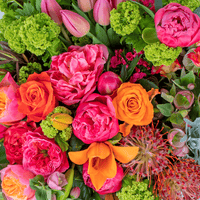 Florists Choice - Vibrant Colour Palette
