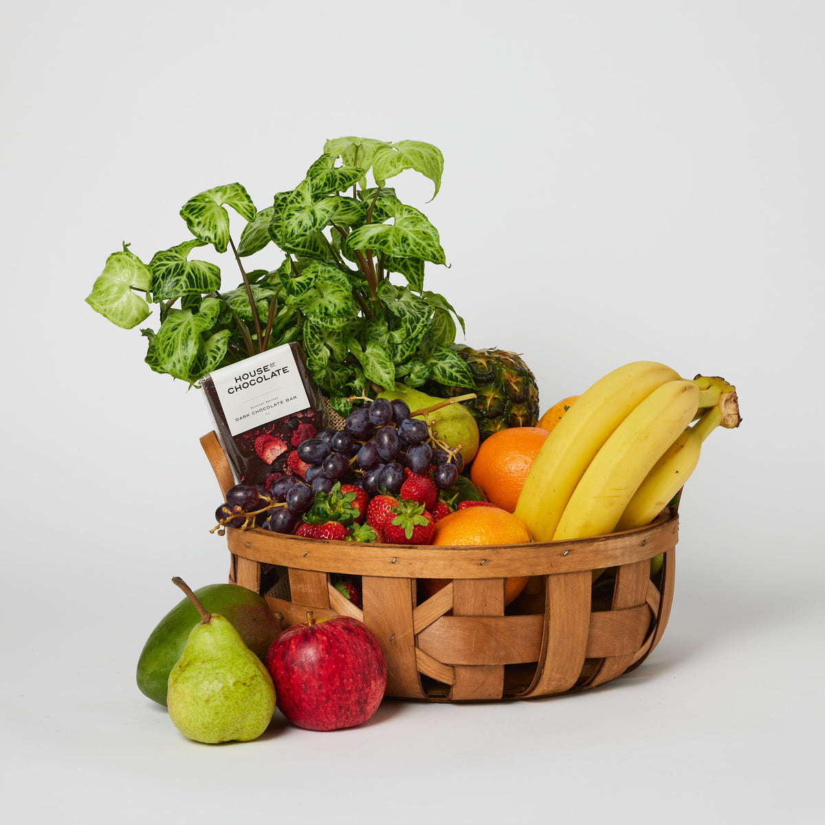 Plant & Orchard Fruit Basket
