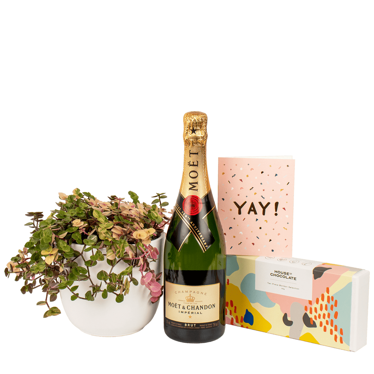 Celebration Plant Pack