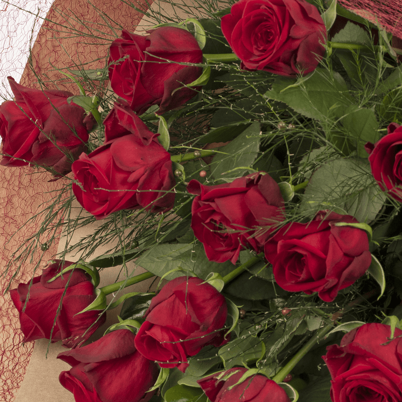 Premium Red Roses - One Dozen