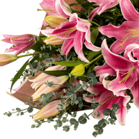 Pink Oriental Lily Bouquet