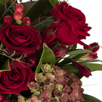 Ruby Red Posy