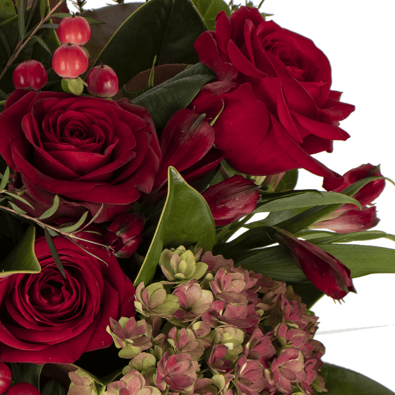 Ruby Red Posy