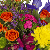 Bright Seasonal Posy