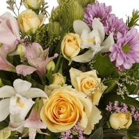 Pastel Seasonal Sweetness