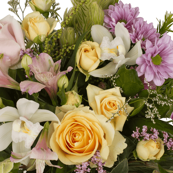 Pastel Seasonal Sweetness