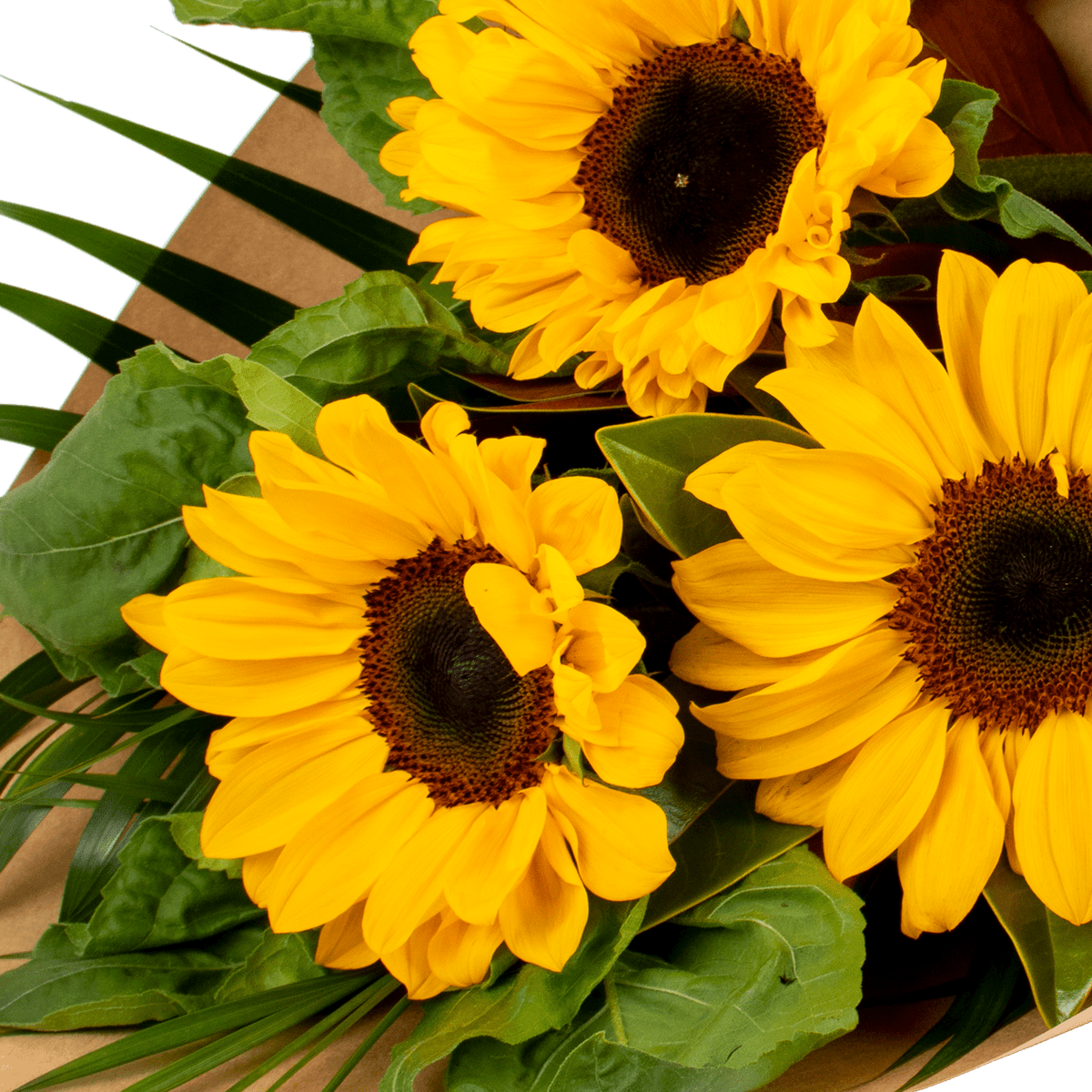 Sunflower Bouquet