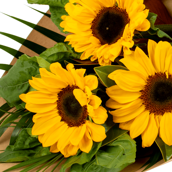 Sunflower Bouquet