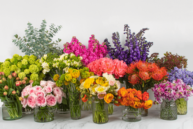 The Flower Delivery Company