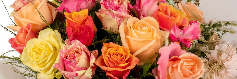 A close-up bouquet of bright, mixed roses in various colors including yellow, orange, peach, pink, and variegated shades.