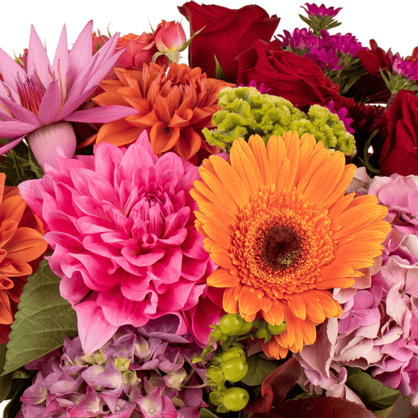 Luscious Posy