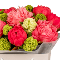 Perfect Peonies