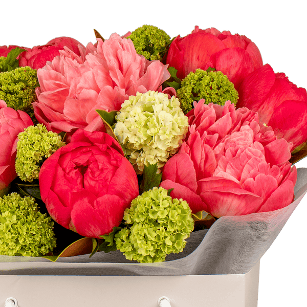 Perfect Peonies