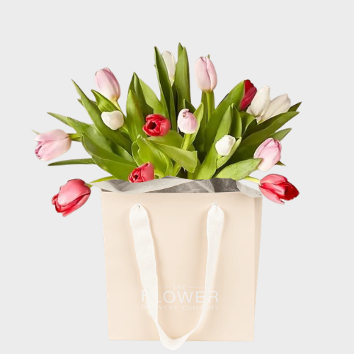 Tulip Posy