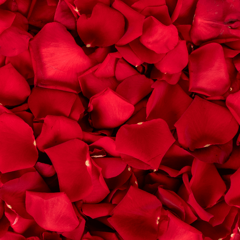A close-up image of vibrant red rose petals covering the entire frame