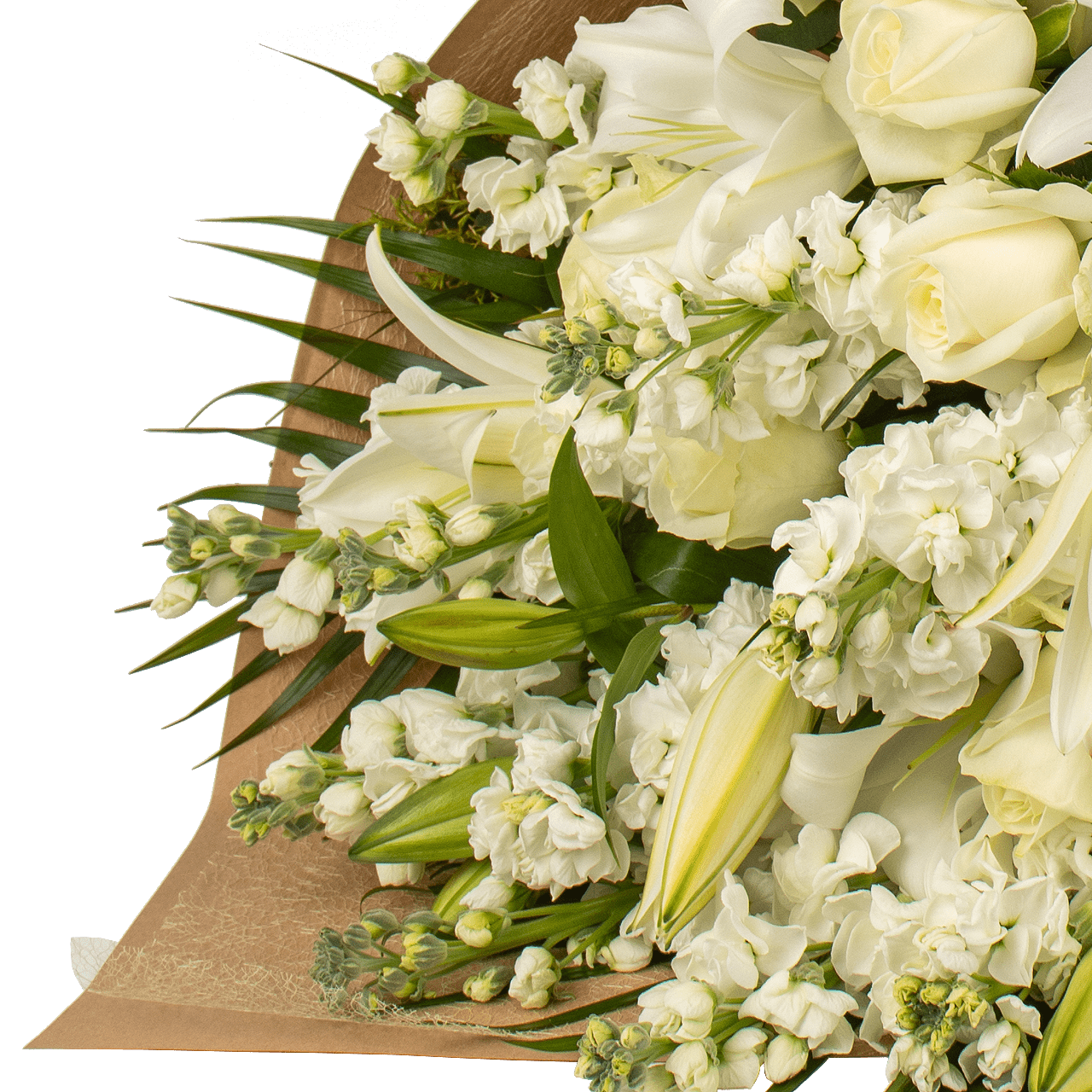 Lavish White
