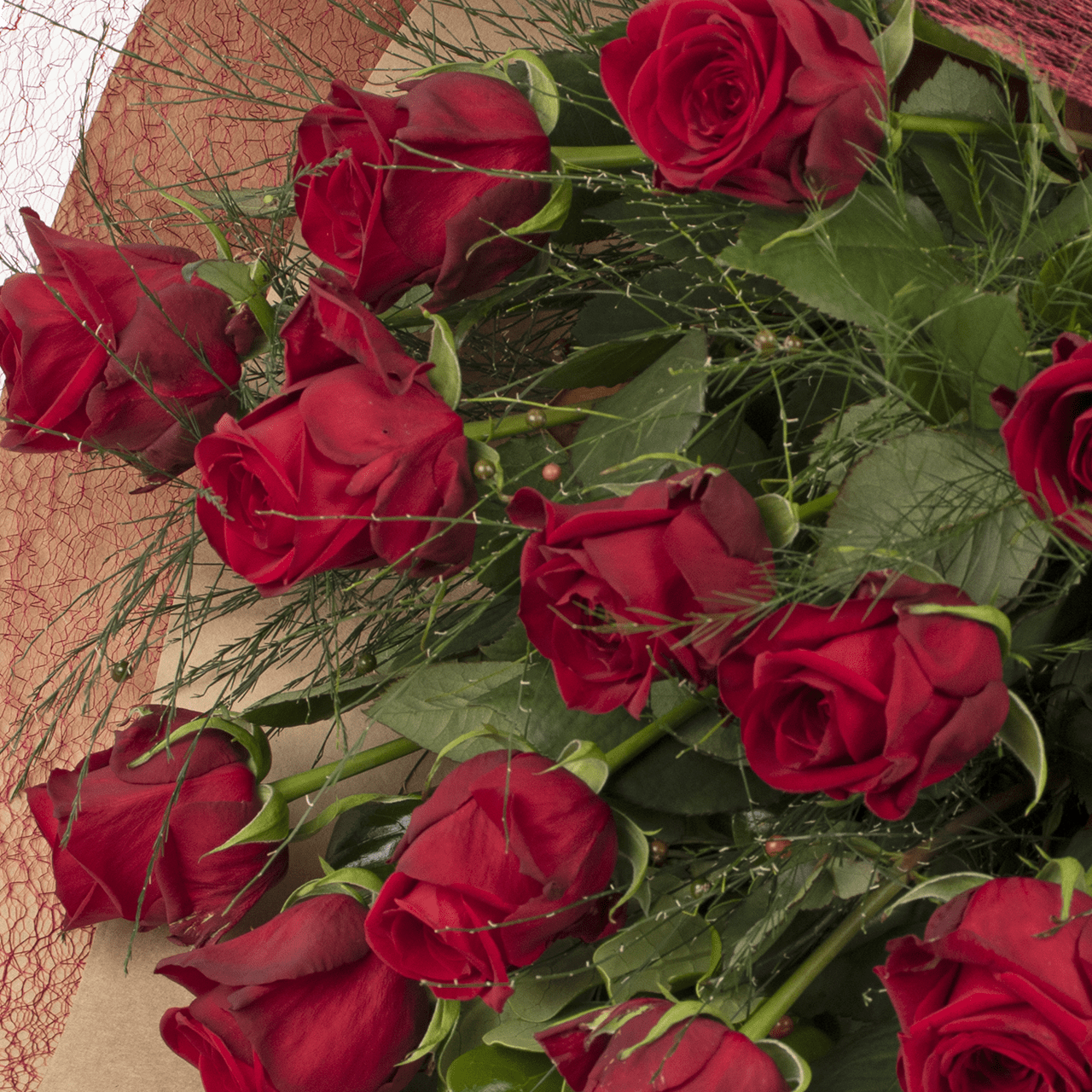Premium Red Roses