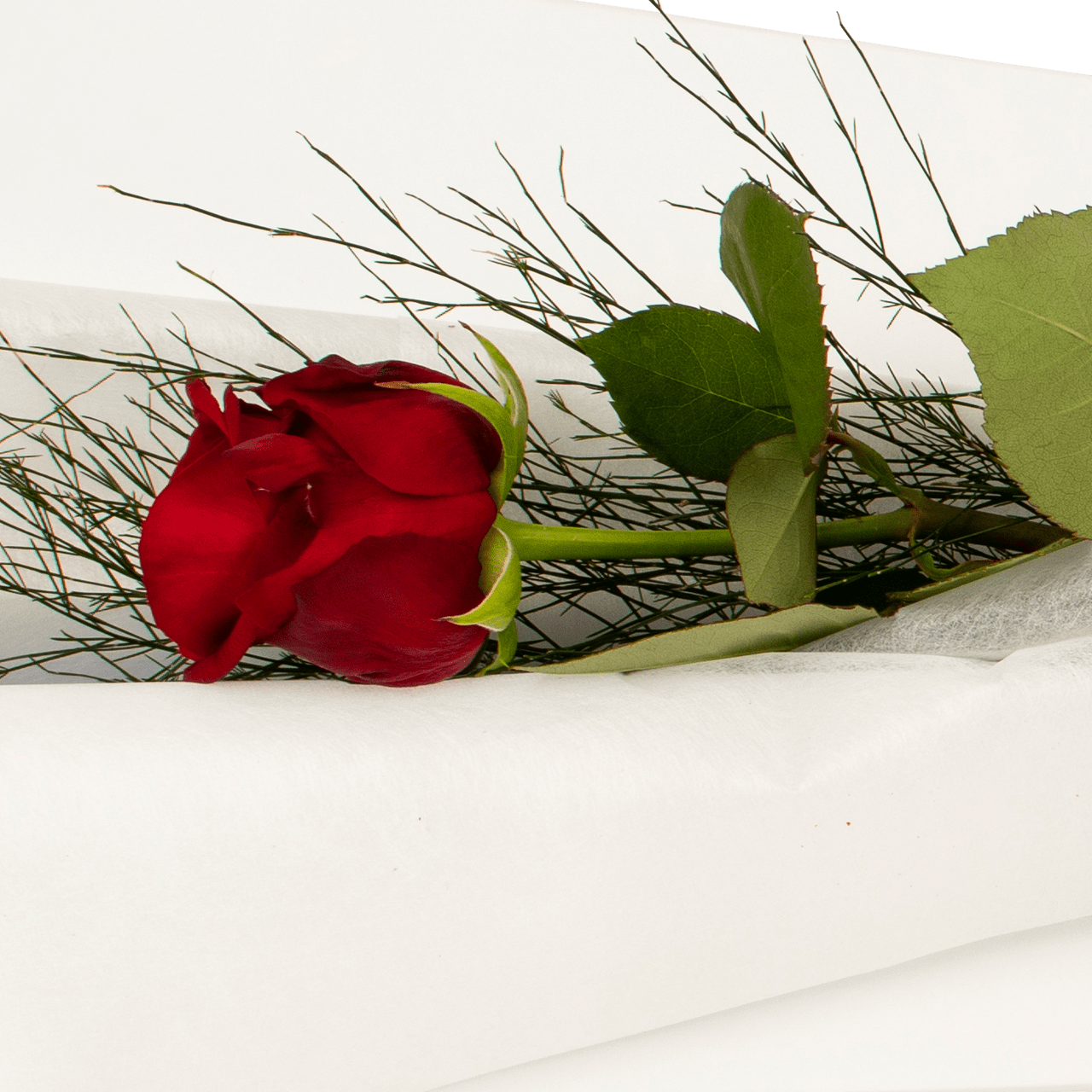 Single Rose Gift Box