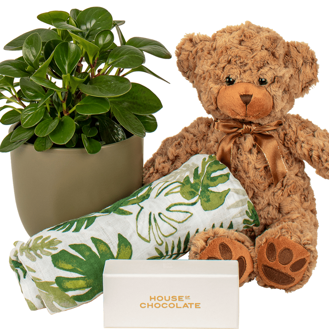 New Baby Plant Gift Basket Free Delivery Auckland