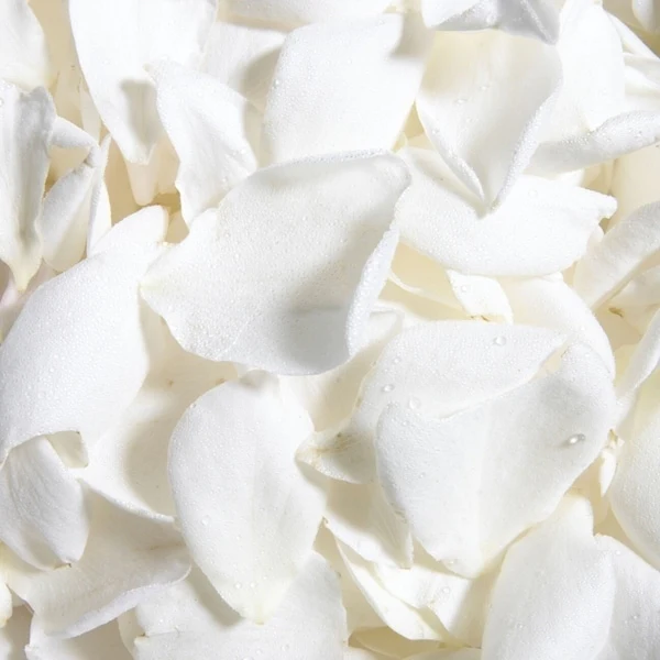 White Rose Petals